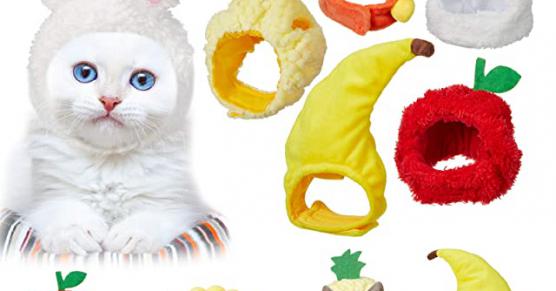 Miglior cappelli per gatti