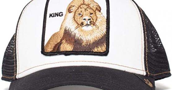 Miglior cappello goorin bros king