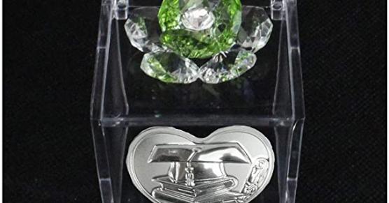 Miglior cappello laurea con pergamena