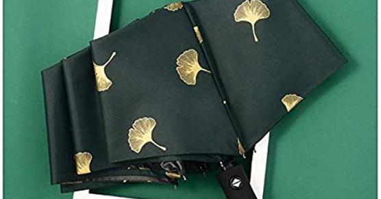 Miglior ombrello ginkgo