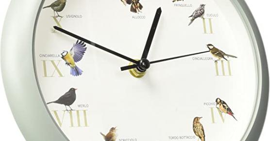 Miglior orologio uccelli citta del sole