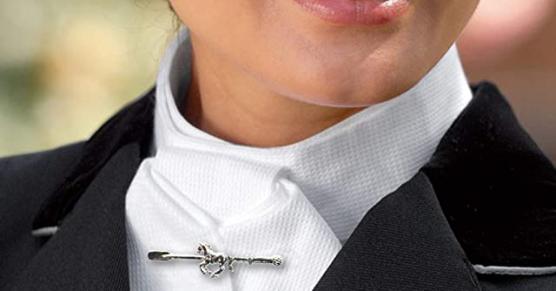 Miglior plastron spilla