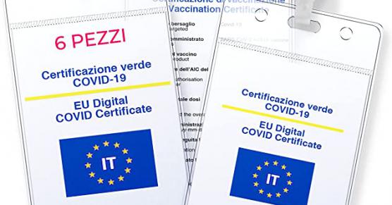 Miglior portadocumenti da collo trasparente