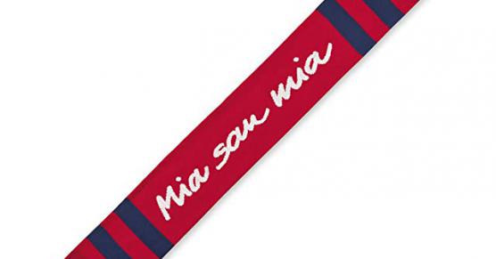 Miglior sciarpa da tifoso