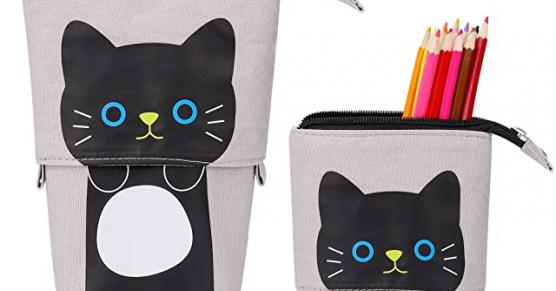 Miglior astuccio scuola gatti