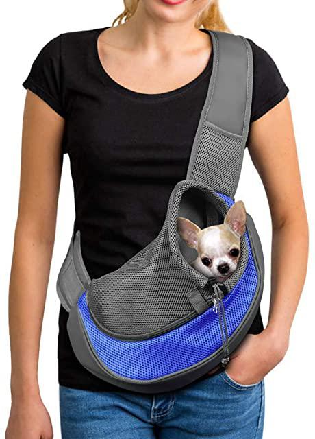 Miglior borsa estiva per chihuahua