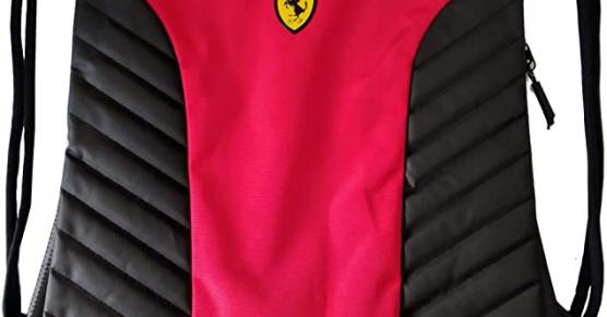 Miglior borsa ferrari