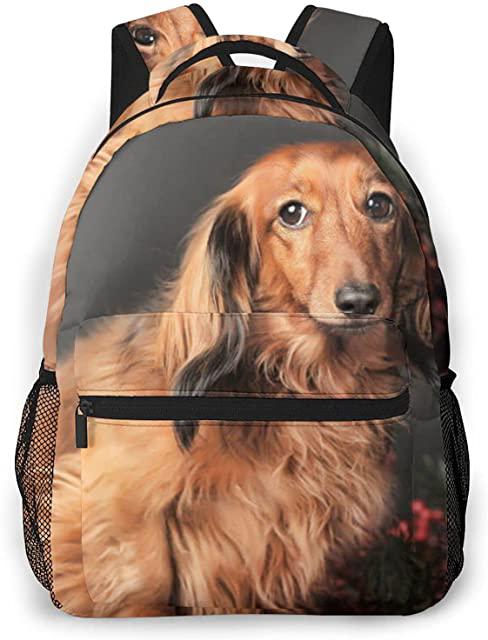 Miglior borsa pelo