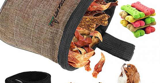 Miglior borsa porta snack cani