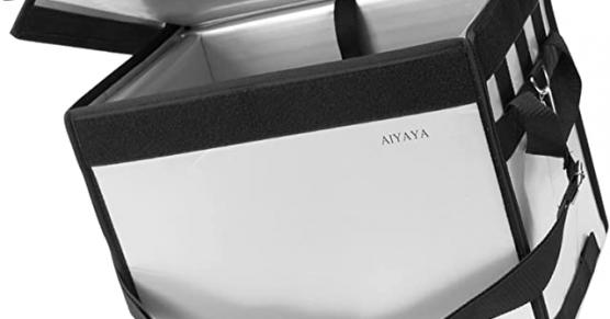 Miglior borsa termica asporto