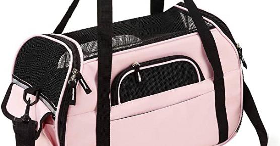 Miglior borsa trasportino per cani piccola taglia