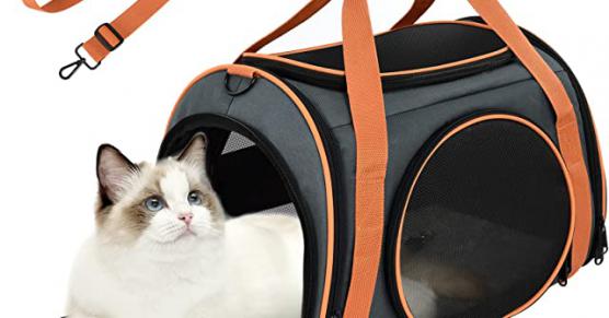 Miglior borsa trasportino per gatti