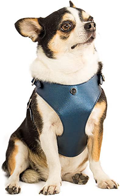 Miglior marsupio per chihuahua