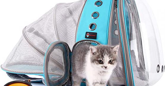 Miglior zaino gatto con oblo
