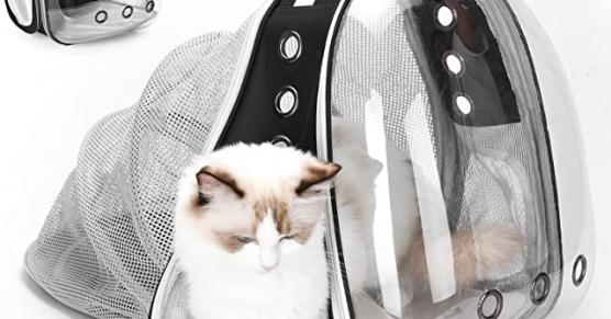 Miglior zaino gatto oblo
