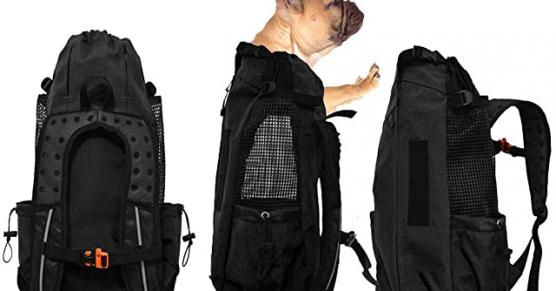 Miglior zaino trekking porta cane