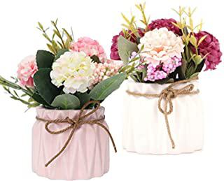 Miglior fiori da tavolo