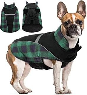Miglior quadri con cani vestiti