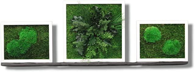 Miglior quadri verde stabilizzato