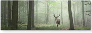 Miglior quadro bosco