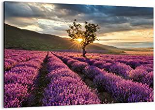 Miglior quadro campo di girasoli