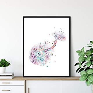 Miglior quadro clinico