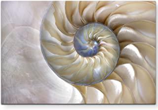 Miglior quadro conchiglia