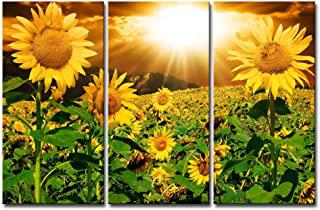 Miglior quadro girasoli