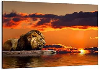 Miglior quadro leone