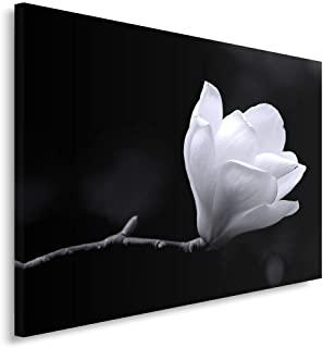 Miglior quadro nero