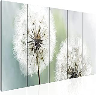 Miglior quadro soffione