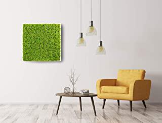 Miglior quadro vegetale