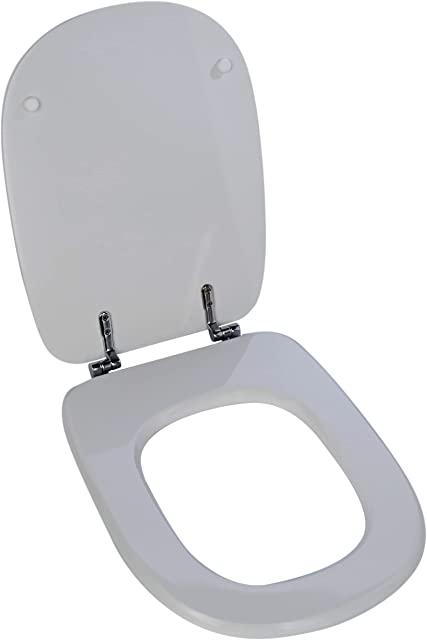 Miglior copriwater ideal standard tesi