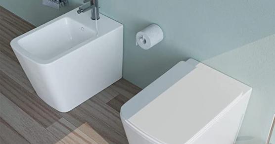 Miglior tazza del bagno