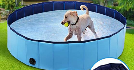 Miglior vasca da bagno per cani