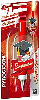 Miglior centrotavola laurea