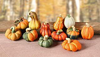 Miglior centrotavola zucca