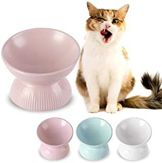 Miglior ciotola gatto ceramica