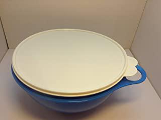 Miglior ciotola lievitazione