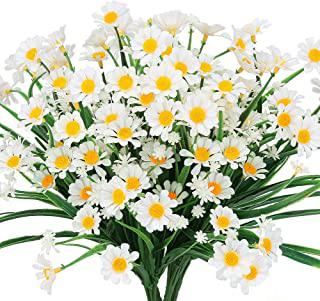 Miglior ciotole fiori per cimitero