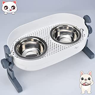 Miglior ciotole per cani personalizzate