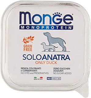 Miglior monge grill cane