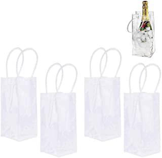 Miglior secchiello portaghiaccio plastica