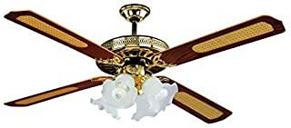 Miglior lampadario a ventilatore
