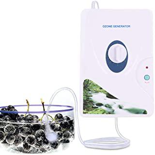 Miglior ozonizzatore acqua professionale