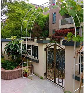 Miglior arco da giardino