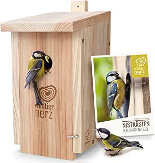 Miglior casette in legno per uccellini