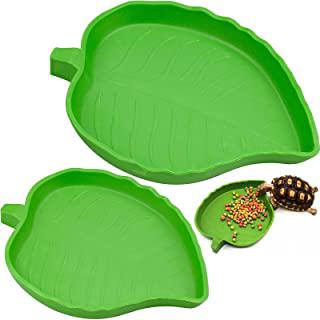 Miglior casette tartarughe
