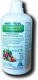 Miglior clorato di potassio