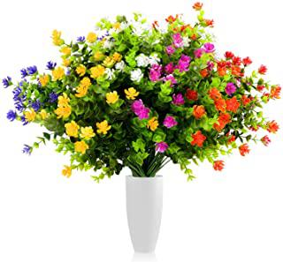 Miglior fiori colorati da giardino